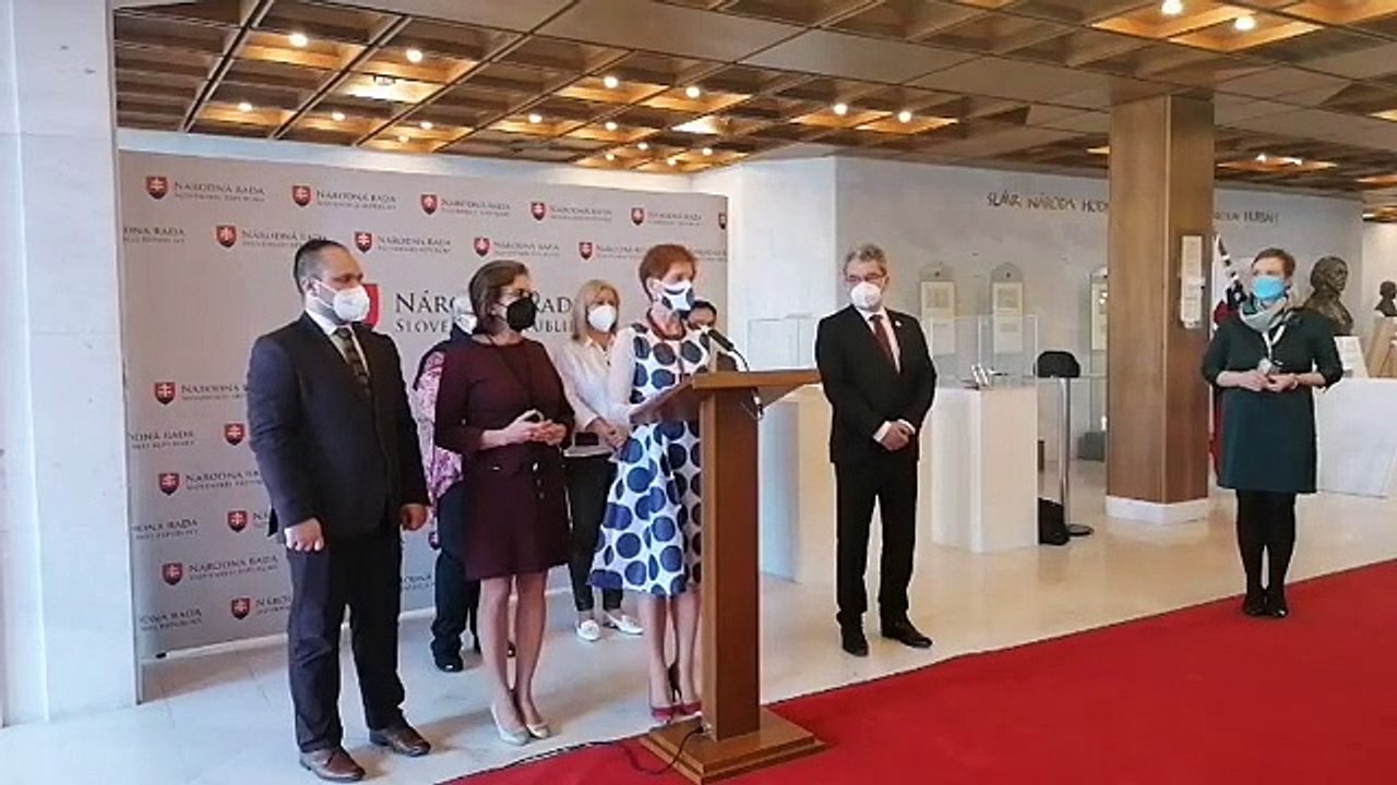 ZÁZNAM: Brífing strany SaS