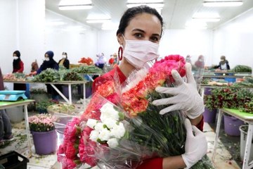 Kesme çiçek sektörü pandemi krizini fırsata çevirdi