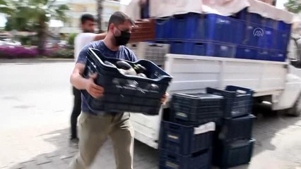 Hayırsever esnaf sebze ve meyveleri ihtiyaç sahiplerine ücretsiz dağıtıyor