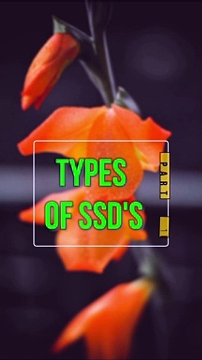 TYPES OF SSD