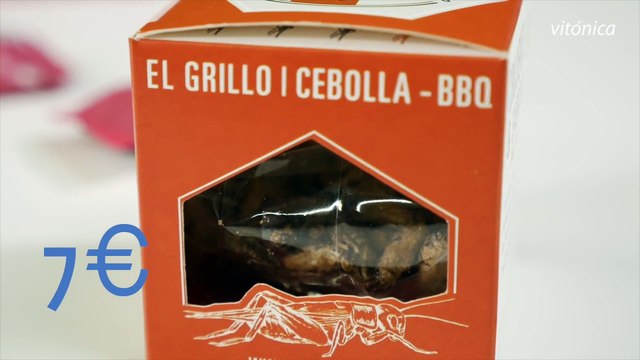 ¿Comerías INSECTOS porque son ricos en proteínas? Los probamos y te damos nuestra opinión