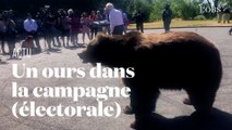En Californie, un candidat républicain au poste de gouverneur fait campagne avec un ours