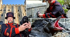 Queen's Chaplain Roger Hall joins Andrew Eborn to announce a special chance to name the baby Raven at The Tower of London