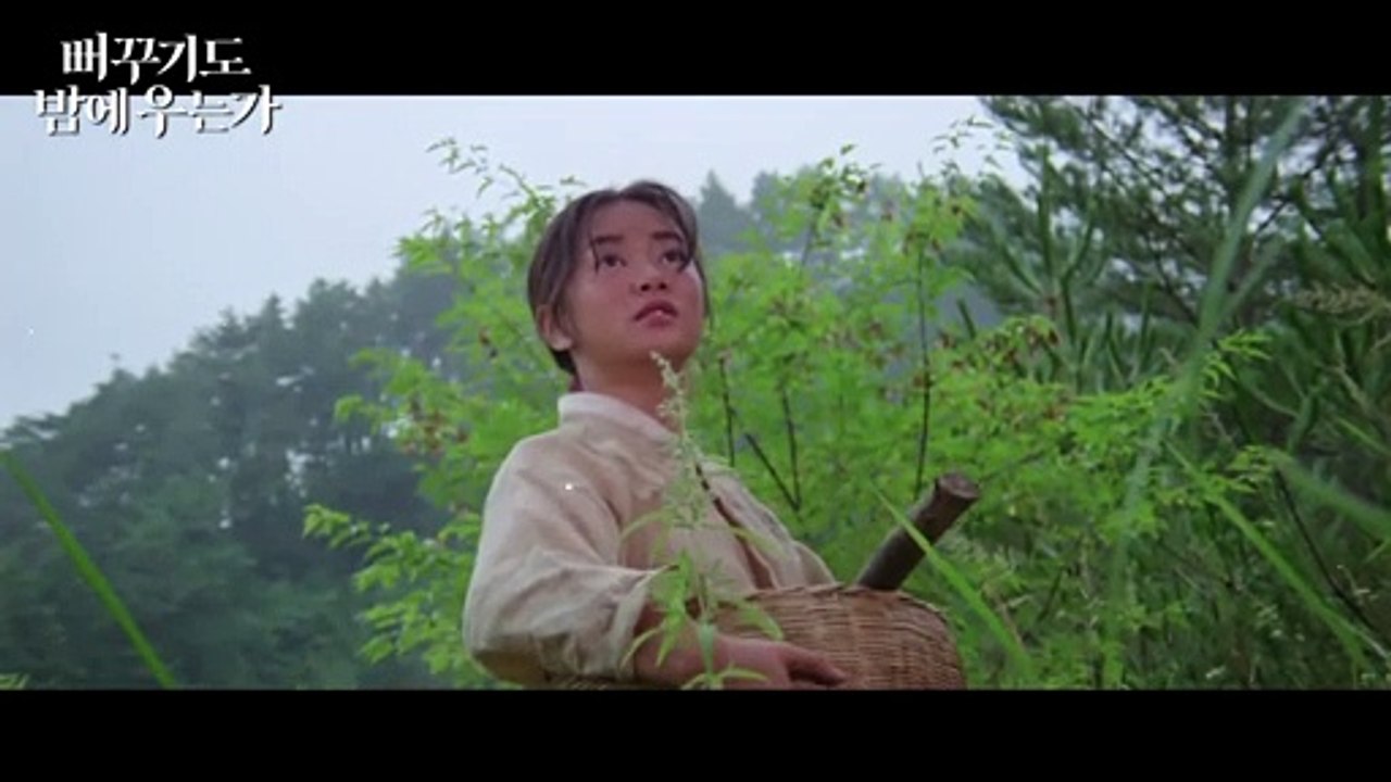 영화 [뻐꾸기도 밤에 우는가]