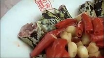 Bu kadarına da pes: Çinlilerin yılan ve balıklara canlı canlı yaptığı işkenceler kamerada!