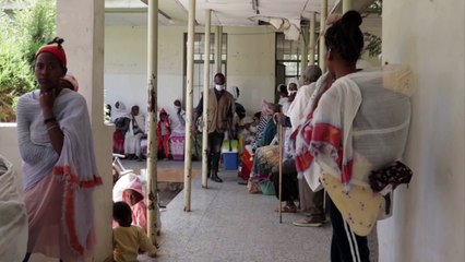 Six mois après le début du conflit du Tigré, des milliers d'enfants affectés