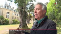 Morbihan : des habitants luttent contre la construction d'un grand hôtel sur l'île de Berder