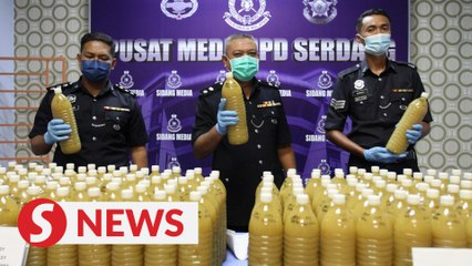 Serdang cops arrest two, seize RM4,000 worth of ketum