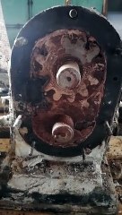 VID-20210425-WA0005
