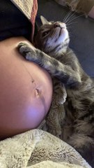 Calm Cat Knows About Baby