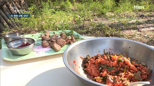 [봄 밥상] 봄을 느낄 수 있는 최고의 별미! 봄 최고의 보약 '봄나물 비빔밥'