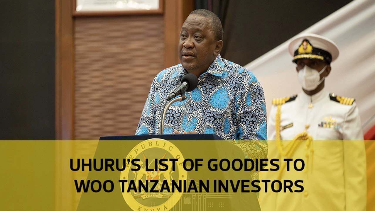 Uhuru's list of goodies to woo Tanzanian investors