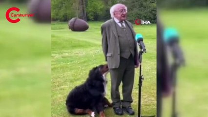 İrlanda Cumhurbaşkanı Higgins’in canlı yayında zor anları