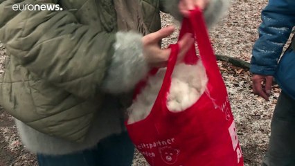 Wolle aus Hundehaaren: Besser als Cashmere