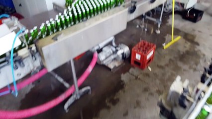 Cervejeiros belgas sob pressão