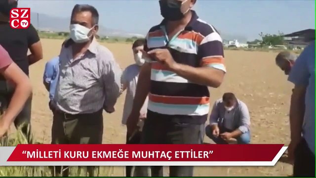 Çiftçi böyle isyan etti: Bu iş bizi doyurmuyor