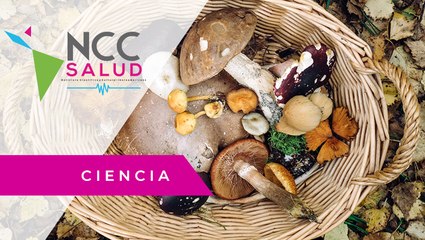México inaugura el Centro de Biotecnología de Hongos Comestibles, Funcionales y Medicinales