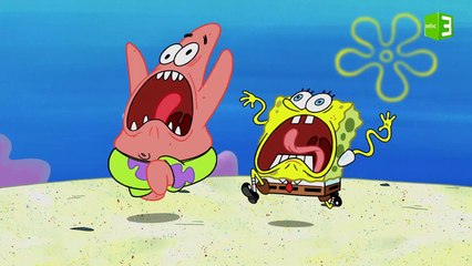 هجوم قنديل البحر