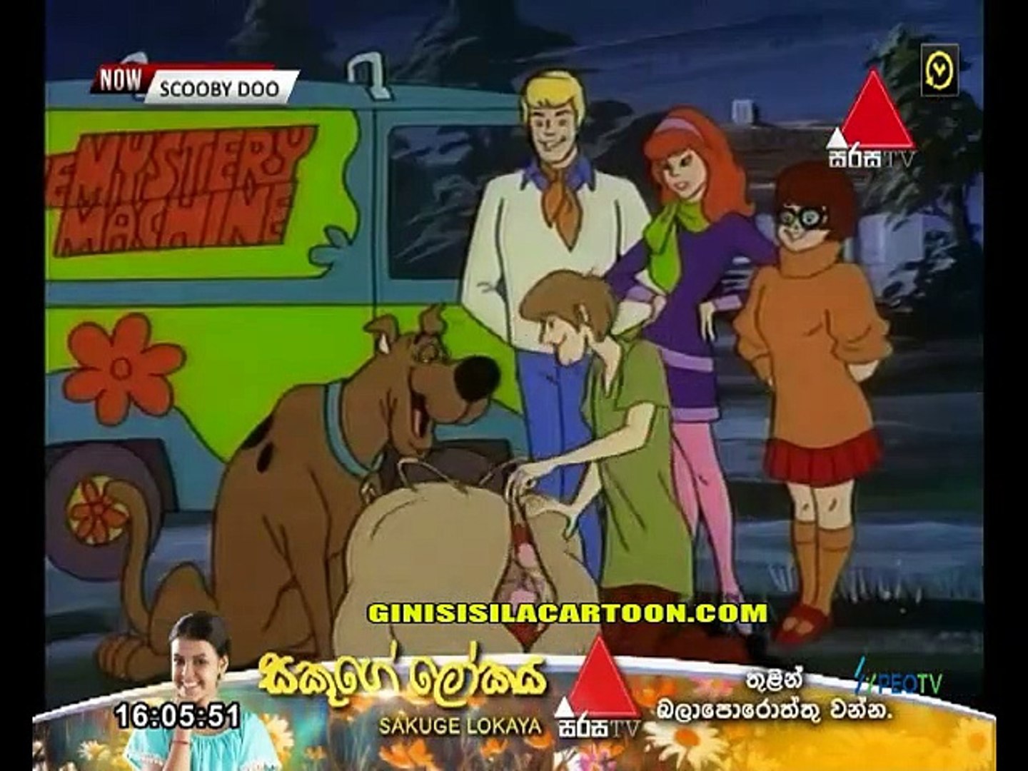 scooby 56