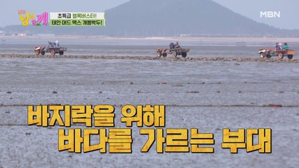 태안 머드 맥스, 미친 바지락 부대의 정체는?!