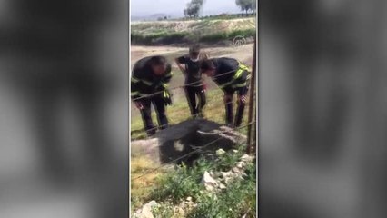 Kuyuya düşen 4 tilki yavrusu itfaiye ekiplerince kurtarıldı