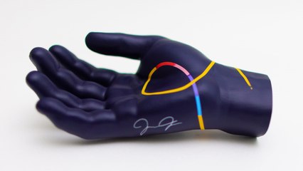 Expedia Is Giving Away 250 Replicas of Joe Jonas's Hand to Nervous Travelers