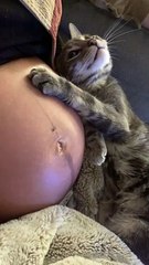Calm Cat Knows About Baby