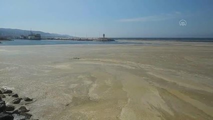 Marmara Denizi'nin birçok noktasına yayılan "deniz salyası" Mudanya sahilini de kapladı