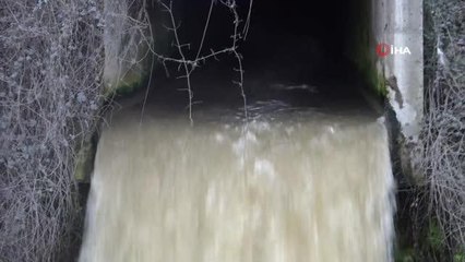 Atıksu tesisindeki sular arıtılmadan akıtıldı, Riva Deresi'nde su kirliliği oluştu