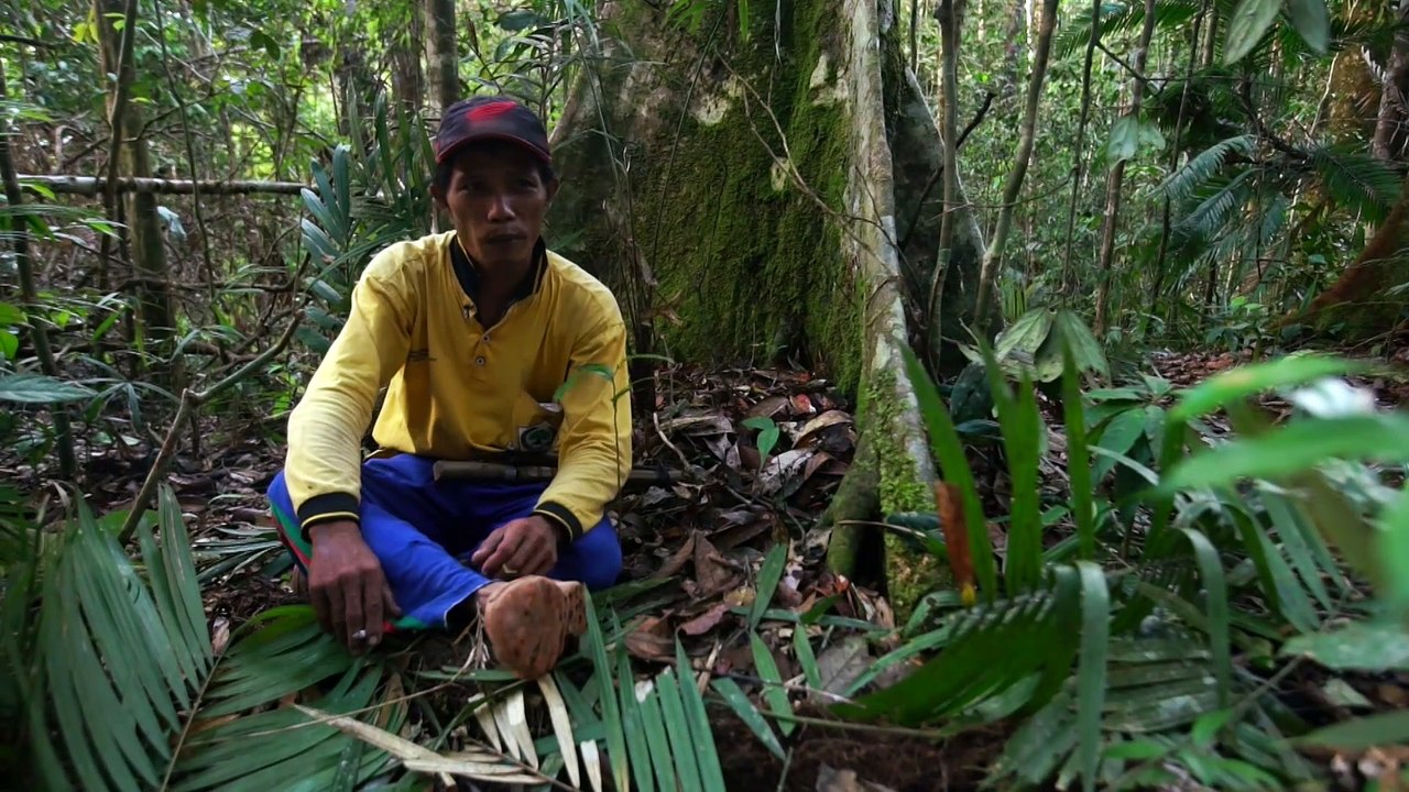 Les routes de l'impossible - Bornéo, le convoi de la Jungle