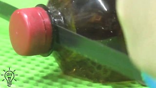 Amazing plastic bottle hacks