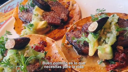 Conoce las delicias de COLMILLO | CHILANGO