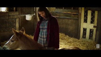 DREAM HORSE Movie Clip - You've Got a Name