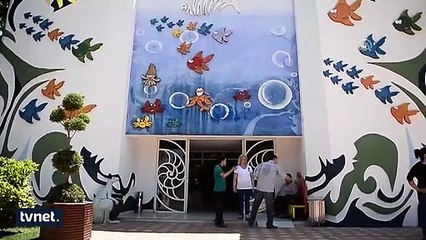 Samsun'da bulunan kaçak piton ve boa yılanları!