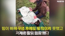 30kg 바위에 묶여 강물에 던져진 개를 구조하자.. '반응'