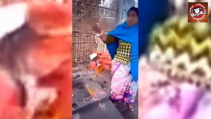 الله أكبر.. شاهد لحظة تكسير الأصنام في الهند ونساء يصرخن: هذه آلهة باطلة لم تحمينا من كورونا