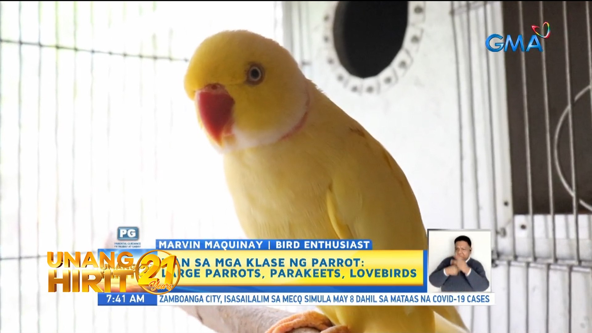 Unang Hirit: Quarantine Pets: Parrots and Parakeets!