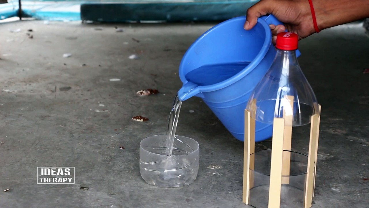 How To Make Water Feeder For Bird Easy Way With DIY Usage Plastic Bottle Like COCA COLA Or PEPSI