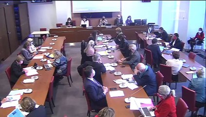 Commission des affaires sociales : Accélérer l’égalité économique et professionnelle (suite) - Mercredi 5 mai 2021