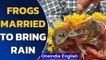 Tripura: Frogs married in unusual custom to appease the rain God | Oneindia news