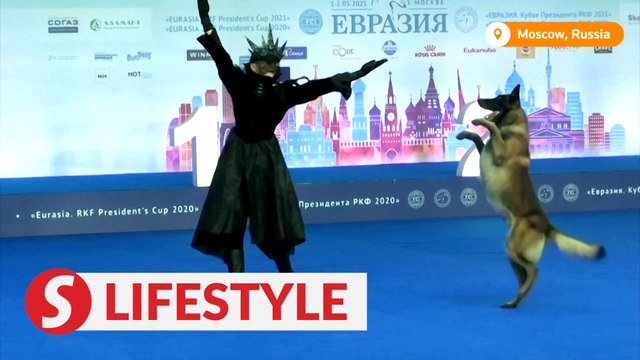 Russians compete in dancing with their dogs