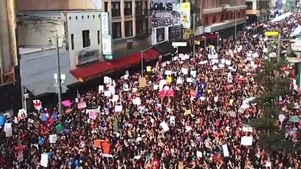 Senior Entourage Trailer