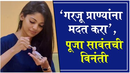 Pooja Sawant Rescue BABY BIRD  गरजू प्राण्यांना मदत करा, पूजा सावंतची विनंती  Animal Lover