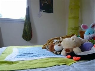 La vie des peluches