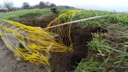 Slow Motion Rabbit Bolts