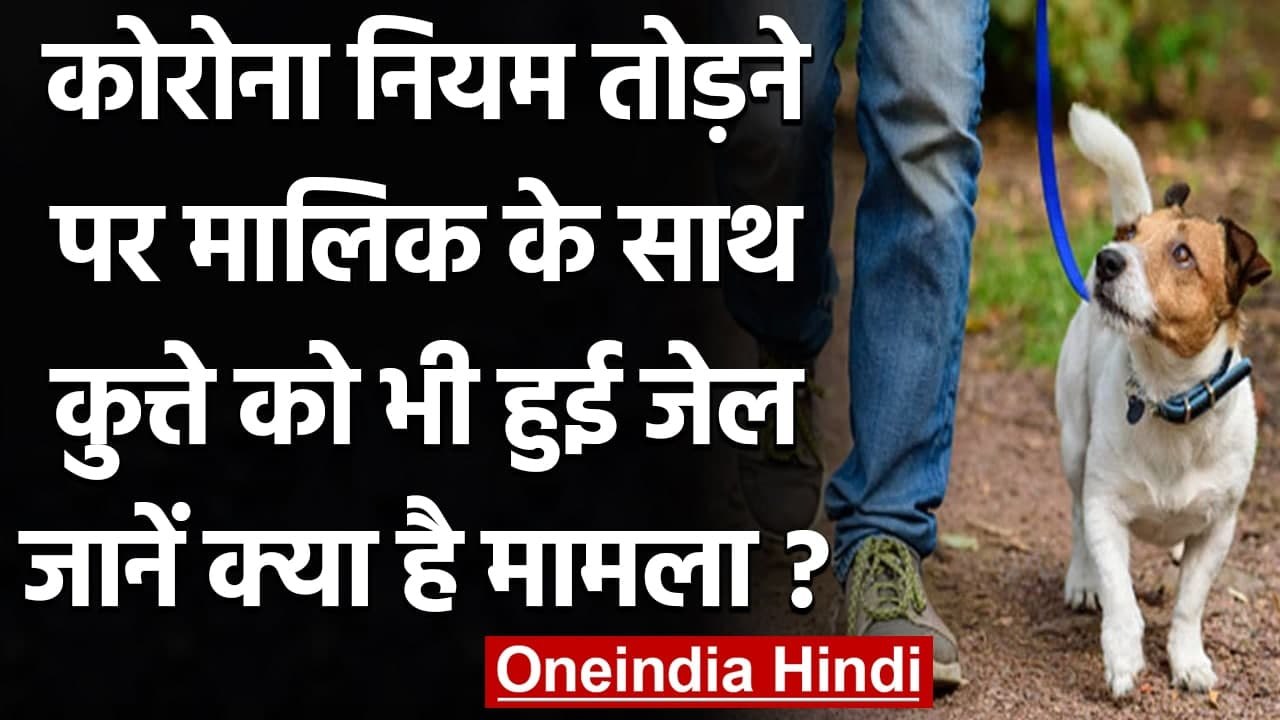 Coronavirus India: Corona Protocol तोड़ने पर मालिक के साथ कुत्ता भी Arrest | वनइंडिया हिंदी