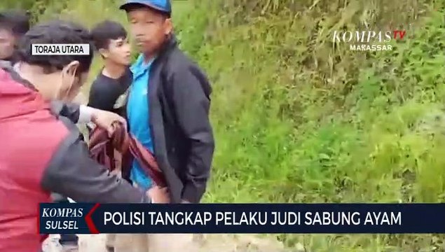 Polisi Tangkap Pelaku Judi Sabung Ayam