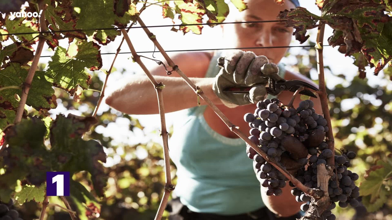 Top 10 des métiers qui recrutent le plus en 2021