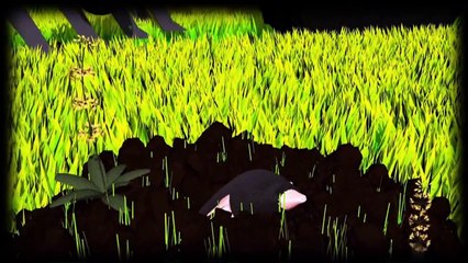 Videografik: So wirken Pestizide