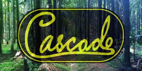 20 Latest Powerful Quotes To Make Your Day Better